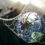 internet-world-wide-web-spider