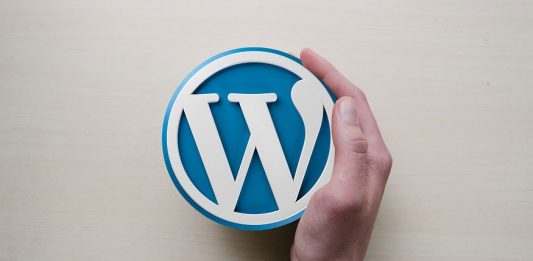 Lo que significa WordPress y su función. Remover la pestaña visual.