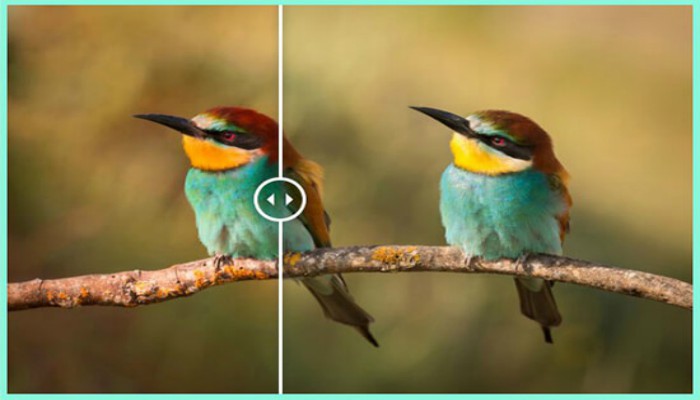 Cómo mostrar fotos con efecto antes y después en tu web