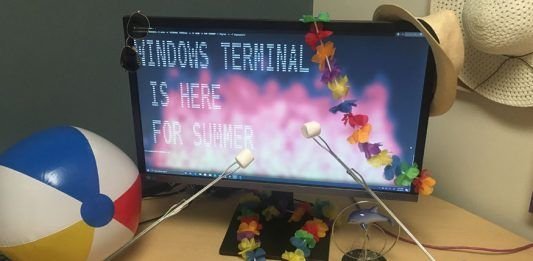 nueva terminal de windows