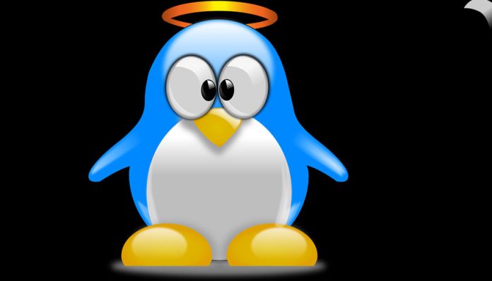 Linux Kernel 5.1