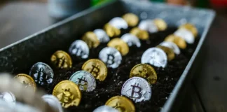 Ventajas de integrar tecnología cripto en tu sitio web